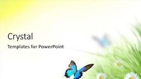  Presentation with forest beautiful spring nature - Cool new theme with butterfly effect - beautiful spring background with lots backdrop and a  colored foreground