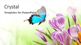  Presentation with beautiful scenery of kuala lumpur - Cool new PPT theme with butterfly effect - beautiful spring scenery backdrop and a  colored foreground
