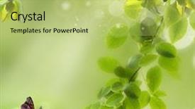  Presentation with focus - Slide deck enhanced with butterfly effect - natural green background with selective background and a yellow colored foreground