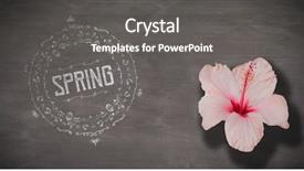  Presentation with spring - Slide set with butterfly effect - spring logo against background background and a gray colored foreground