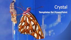  Presentation with cocoon - Colorful slide deck enhanced with butterfly emerging from cocoon backdrop and a cobalt blue colored foreground