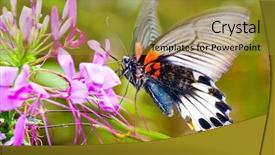  Presentation with fall - PPT theme featuring butterfly fall on the flower background and a gold colored foreground