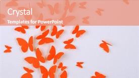  Presentation with fly - Slides with butterfly hand - paper butterflies fly on wall background and a coral colored foreground