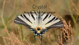  Presentation with butterfly - Cool new PPT theme with butterfly-in-natural-habitat-scarce backdrop and a coral colored foreground