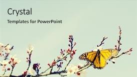  Presentation with spring tree - Beautiful slides featuring butterfly on a beautiful spring backdrop and a soft green colored foreground