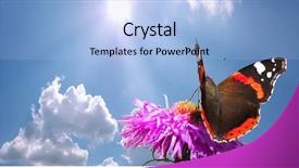  Presentation with blue flower - Slide deck having butterfly on flower against blue background and a light blue colored foreground