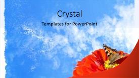  Presentation with blue flower - Cool new presentation theme with butterfly on flower blue sky backdrop and a  colored foreground