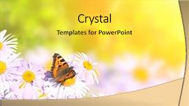  Presentation with yellow color - Amazing presentation theme having butterfly on flowers on sunny backdrop and a  colored foreground