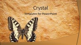  Presentation with butterfly - Slides featuring butterfly on hand-made paper background and a  colored foreground