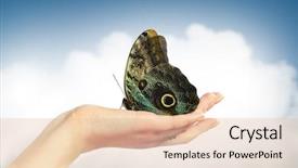  Presentation with sun breaking through clouds - Beautiful theme featuring butterfly on hand sunny clouds backdrop and a  colored foreground