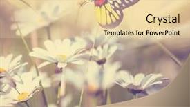  Presentation with butterfly - Beautiful PPT theme featuring butterfly on the flower backdrop and a lemonade colored foreground