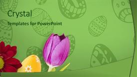  Presentation with green - Audience pleasing PPT theme consisting of butterfly plant flower floral pattern - pe047_butterfly_02_bs_nf backdrop and a seafoam green colored foreground