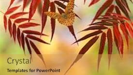  Presentation with autumn - Beautiful PPT layouts featuring changing seasons - butterfly sitting on autumn leaves backdrop and a gold colored foreground