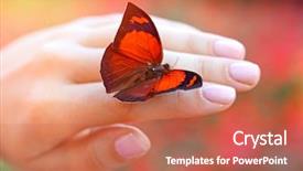  Presentation with trainee nurse sitting by female - PPT layouts enhanced with butterfly sitting on female hand background and a coral colored foreground