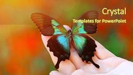  Presentation with butterfly - PPT theme enhanced with butterfly sitting on female hand background and a tawny brown colored foreground