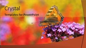  Presentation with purple butterfly - PPT layouts enhanced with butterfly urticaria in profile sitting background and a gold colored foreground