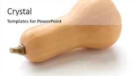  Presentation with blank whiteboard isolated on white - PPT layouts consisting of butternut squash isolated on white background and a white colored foreground