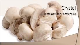  Presentation with color - Amazing theme having button mushroom - color photo of white champignons backdrop and a lemonade colored foreground