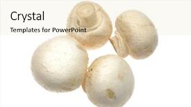  Presentation with mushroom - Beautiful presentation theme featuring button mushroom in isolated white backdrop and a lemonade colored foreground