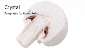  Presentation with mushroom - Theme featuring button mushroom background and a  colored foreground