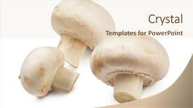  Presentation with mushroom - Slides enhanced with button mushrooms agaricus bisporus isolated background and a lemonade colored foreground