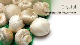  Presentation with tissue paper - 