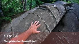  Presentation with mineral - Beautiful presentation featuring buzau county romania concretion sedimentary backdrop and a tawny brown colored foreground
