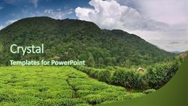  Presentation with tea plantation - Cool new presentation theme with bwindi national park in uganda backdrop and a tawny brown colored foreground
