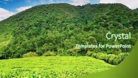  Presentation with uganda - PPT theme consisting of bwindi national park uganda background and a tawny brown colored foreground