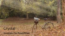  Presentation with sunshine - Colorful PPT layouts enhanced with bycycle - evening sunshine at wooden landscape backdrop and a  colored foreground