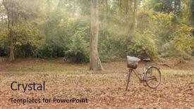  Presentation with solar tree evening landscape - PPT layouts featuring bycycle - evening sunshine at wooden landscape background and a  colored foreground