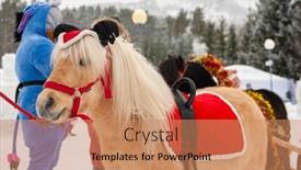  Presentation with siberia - Presentation having byurizovaya-katun-altaiskiy-krai-western background and a coral colored foreground