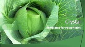  Presentation with cabbage - Slides with organic foods - cabbage closeup background and a shamrock green colored foreground