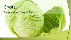  Presentation with cabbage - PPT theme having cabbage isolated on white background and a  colored foreground