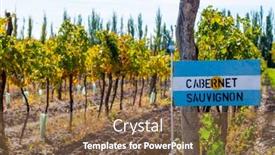  Presentation with cabernet sauvignon - Slide deck enhanced with cabernet-sauvignon-grape-plantation background and a tawny brown colored foreground
