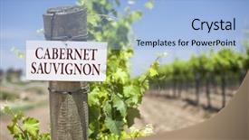  Presentation with cabernet - Amazing PPT theme having cabernet sauvignon sign on post backdrop and a light blue colored foreground