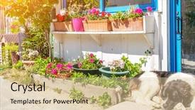  Presentation with cabin - Cool new PPT theme with cabin aside a lane of a little country with a dog backdrop and a lemonade colored foreground