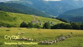  Presentation with eco park - PPT theme having cabin woods - idyllic scene with flock background and a tawny brown colored foreground