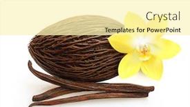  Presentation with cacao - Beautiful PPT theme featuring cacao-and-vanilla-pods backdrop and a blonde colored foreground