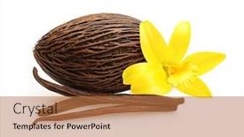  Presentation with cacao - Amazing slide deck having cacao-and-vanilla-pods backdrop and a coral colored foreground