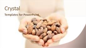  Presentation with cacao bean - Presentation consisting of chocolate nips - cacao beans - heap background and a lemonade colored foreground