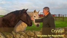  Presentation with horses - 