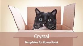  Presentation with white and black figures climbing ladders - Slide deck having inside a box teeth mark background and a coral colored foreground