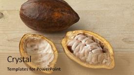 Presentation with cacao - Theme enhanced with cacoa - whole and half fresh ripe background and a  colored foreground