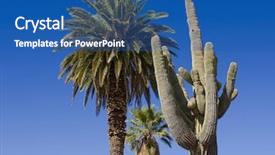  Presentation with palm tree - PPT layouts consisting of cactus and a palm tree background and a ocean colored foreground