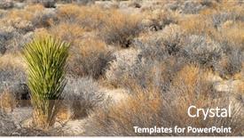  Presentation with fear of death - Colorful slides enhanced with cactus and sagebrush in death backdrop and a  colored foreground