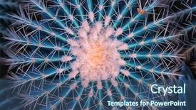  Presentation with cactus - Cool new PPT theme with cactus close up backdrop and a ocean colored foreground
