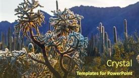  Presentation with cactus - Theme having cactus-field-in-a-mountains background and a  colored foreground