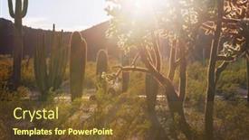  Presentation with arizona - PPT theme with cactus-field-in-a-mountains background and a  colored foreground