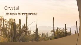  Presentation with arizona - Presentation having cactus-field-in-a-mountains background and a cream colored foreground